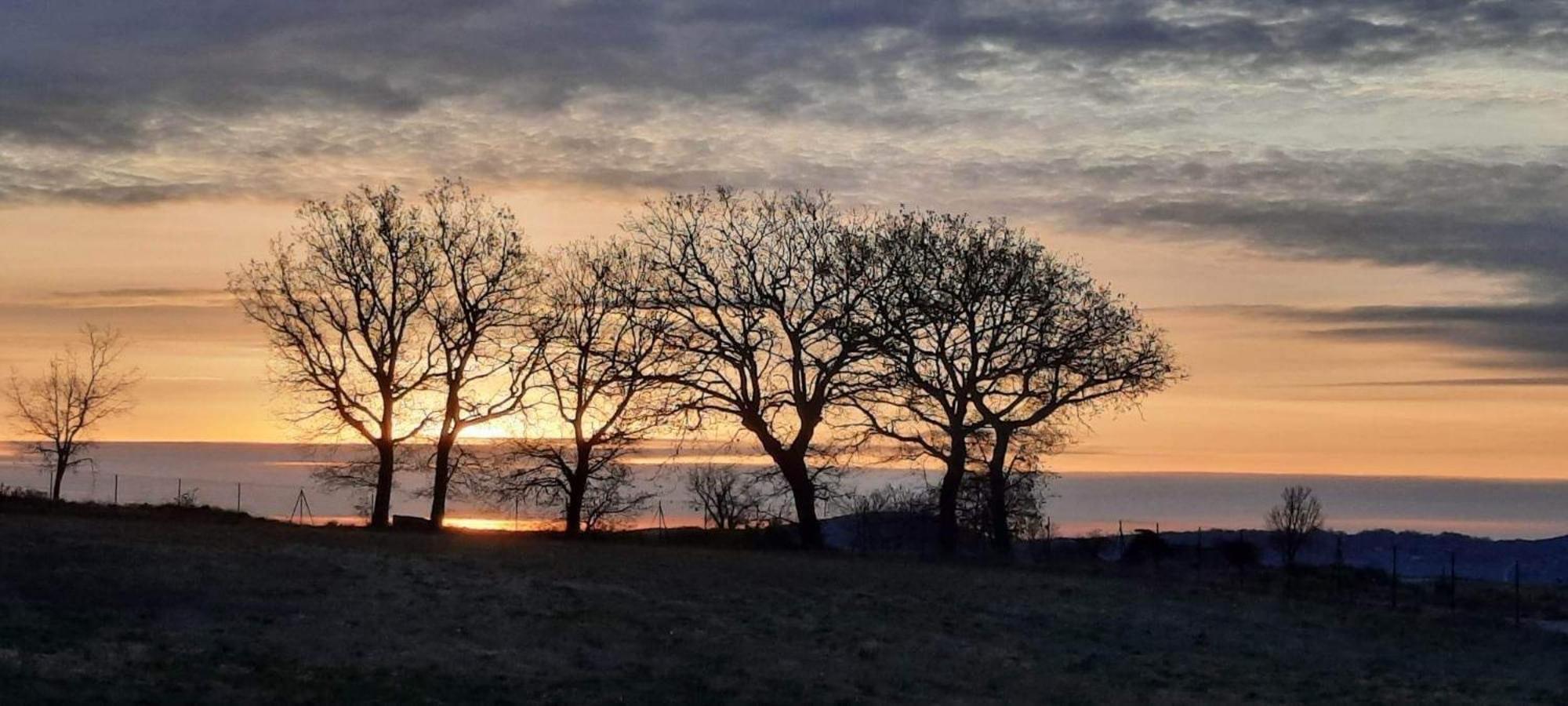 L'Arbre Qui Chante Saint-Etienne-de-Sermantin Luaran gambar